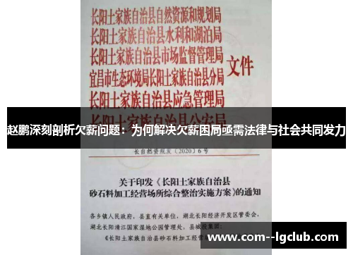 赵鹏深刻剖析欠薪问题：为何解决欠薪困局亟需法律与社会共同发力