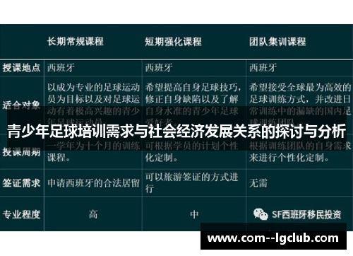 青少年足球培训需求与社会经济发展关系的探讨与分析