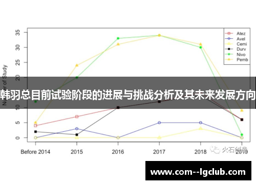 韩羽总目前试验阶段的进展与挑战分析及其未来发展方向