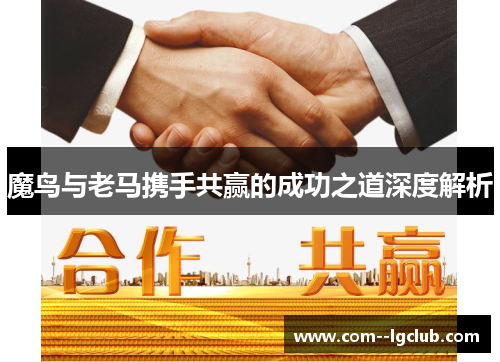魔鸟与老马携手共赢的成功之道深度解析